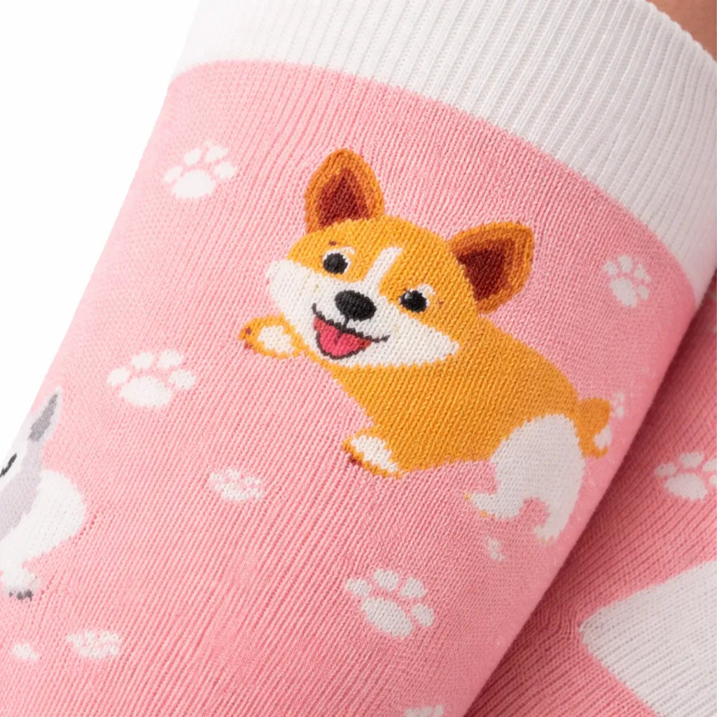 Joyful Compression – Dog Parade