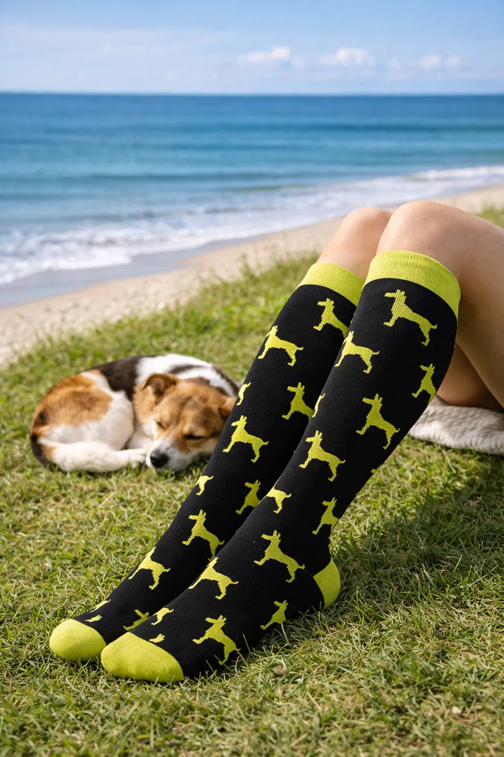 Joyful Compression – Dog Love