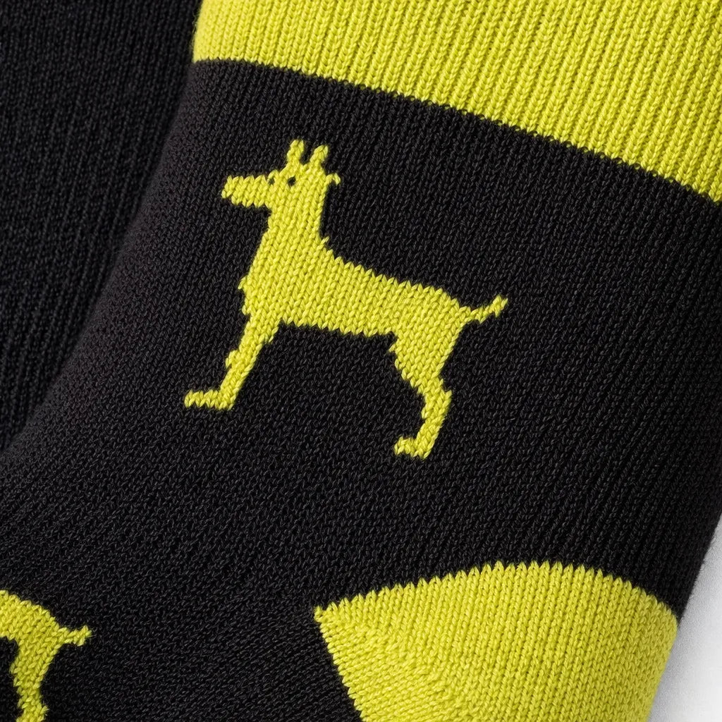 Joyful Compression – Dog Love