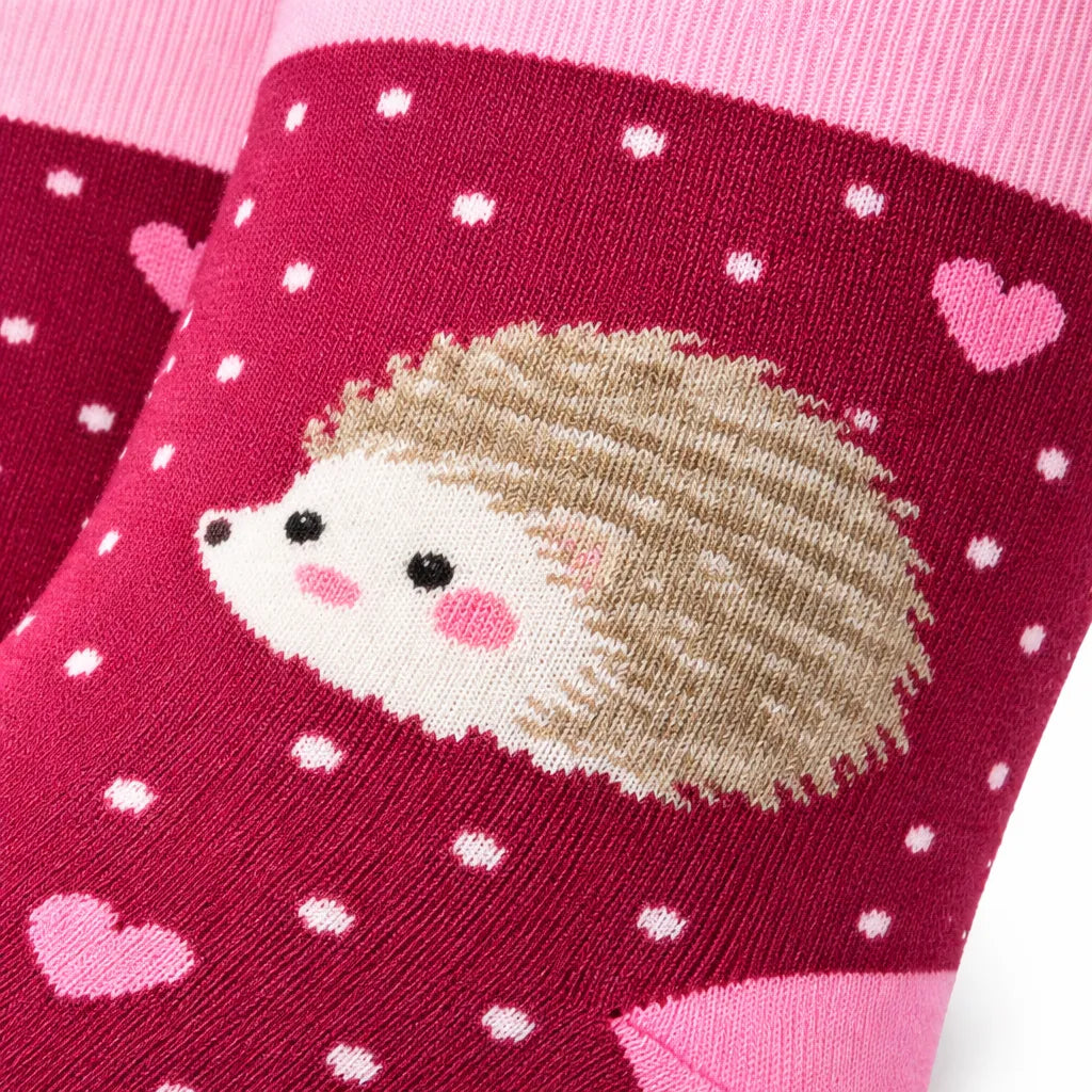 Joyful Compression – Hedgehog Love